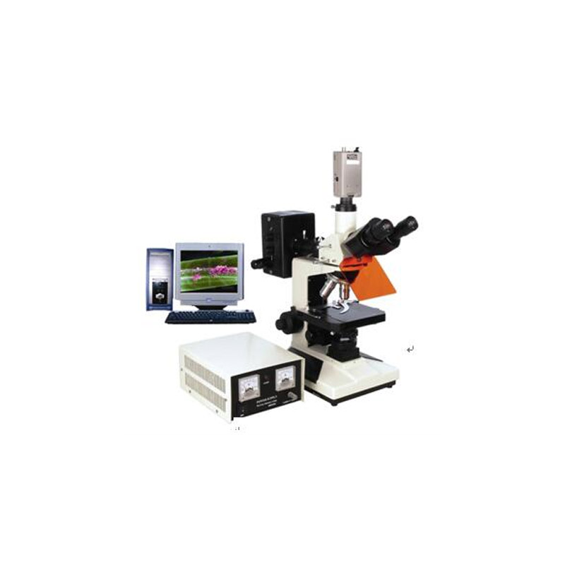 电脑型荧光显微镜BFM-300系列